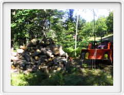 Making Firewood