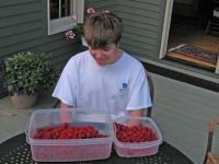 Cory Admiring the Raspberries
