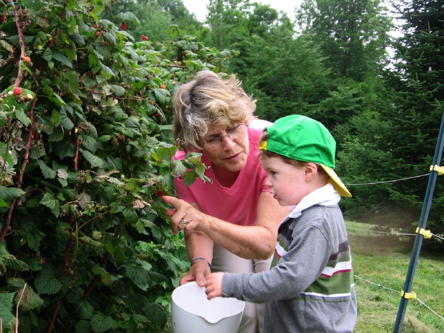 Berry Picking Training