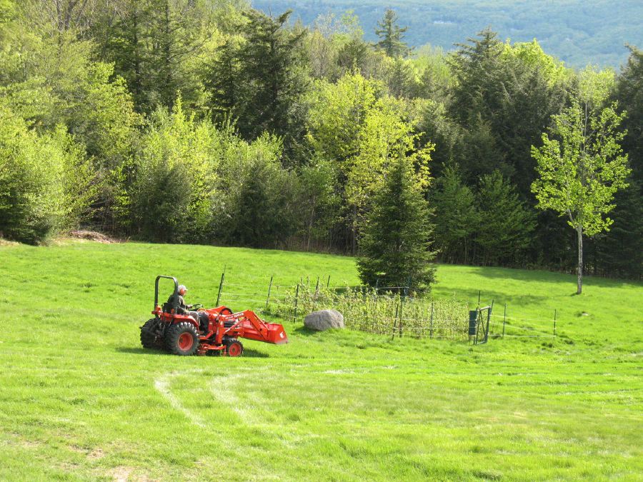 Meadow Mowing