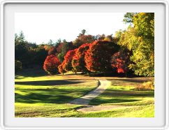 Red Trees on the Gof Course